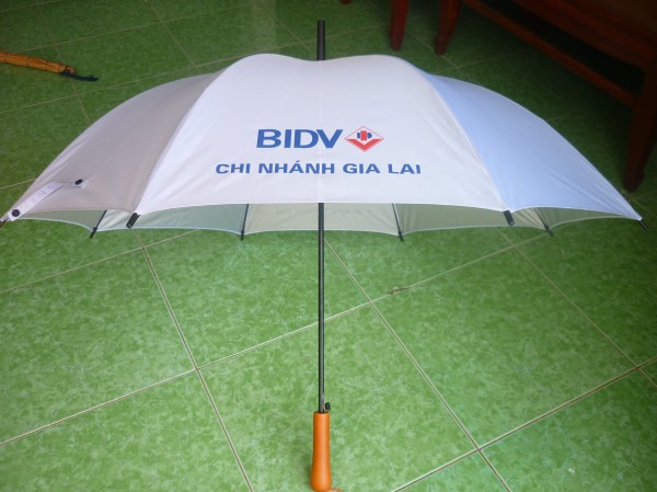 Handheld umbrella