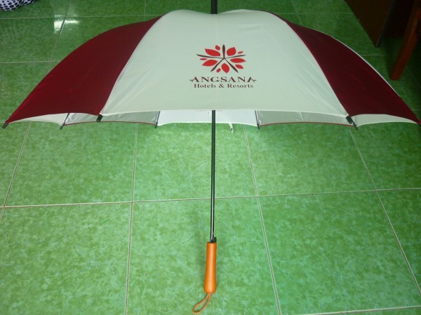 Handheld umbrella