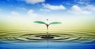 Environmental consulting service