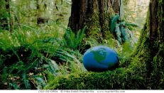 Environmental consulting service