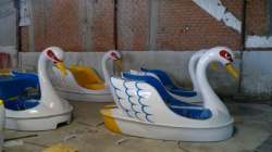 Swan float