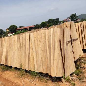 Acacia veneer