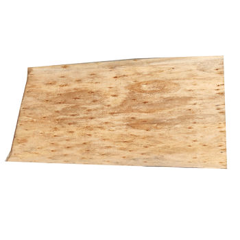 Eucalyptus veneer