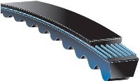 Conveyor belt