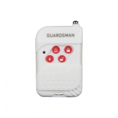 Burglar alarm systems