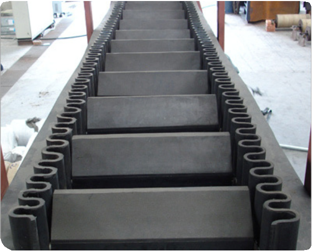 Duckweed Conveyor