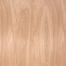 Birch Wood