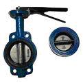 Butterfly Valve