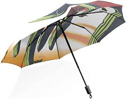 Handheld umbrella