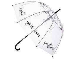 Transparent handheld umbrella