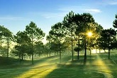 Da Lat tour