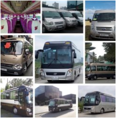Tourist car rental