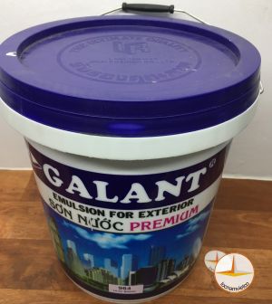 Galant exterior waterborne paint – multi-color