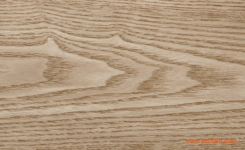 Veneer ASH