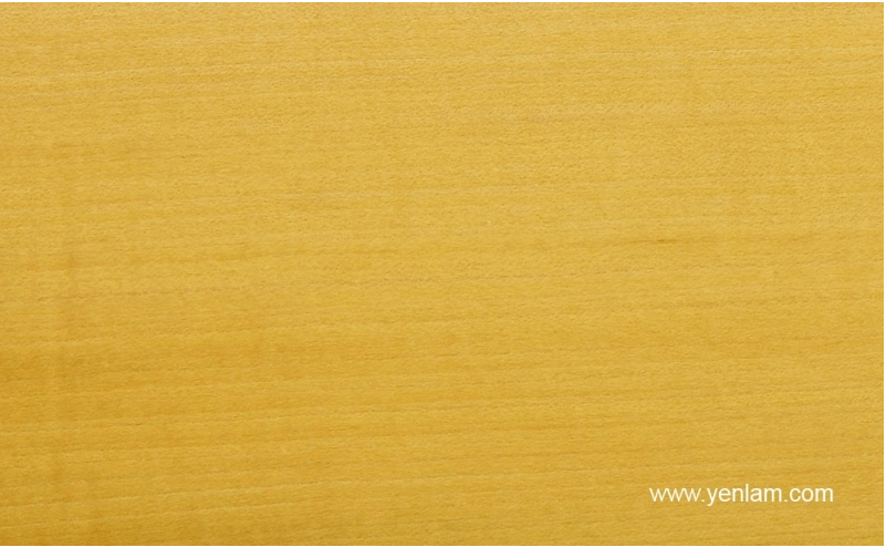 Veneer Basswood