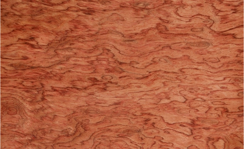 Veneer Bunbinga-S