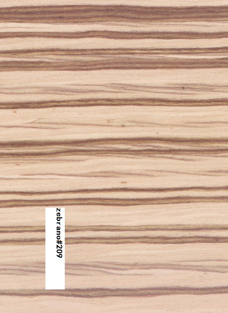 Veneer Zebra