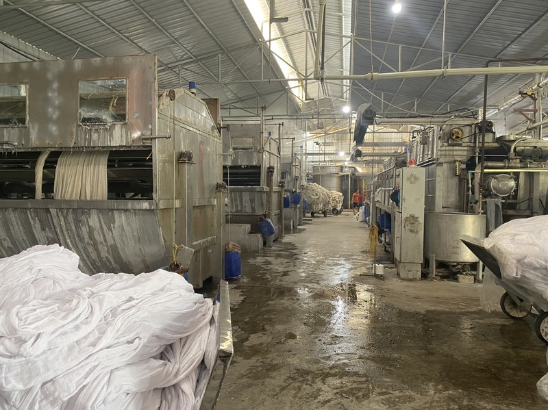 Thanh Bac company image