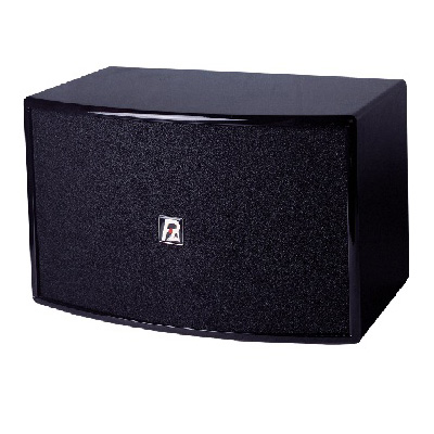 Paudi K10 hanging speaker
