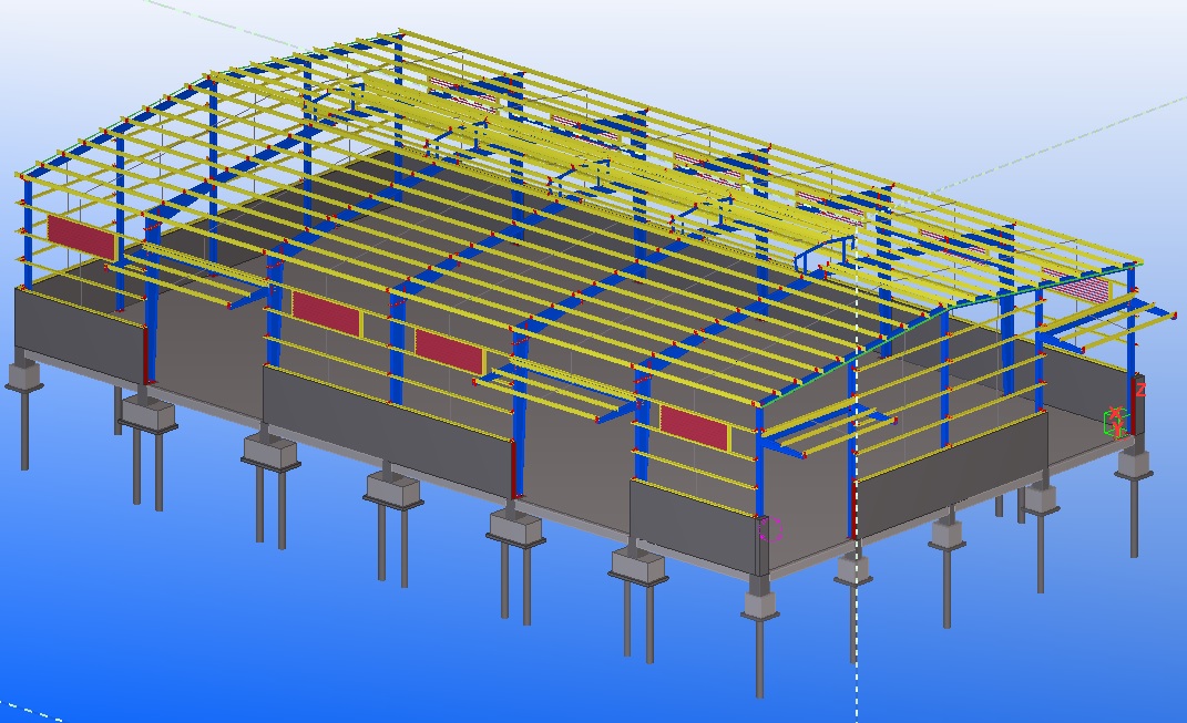 Steel frame house