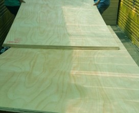 Formwork plywood