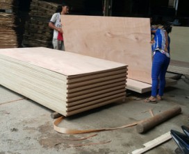 Formwork plywood