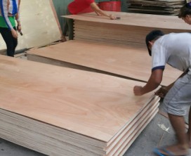 Formwork plywood