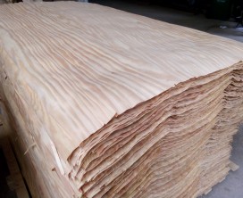 Exported veneer