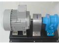 MSL 20 COMPLETED PUMP