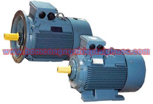 ATT - RMS & WY Serie pump
