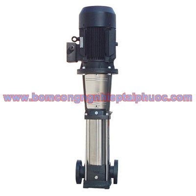 SEOCA pump