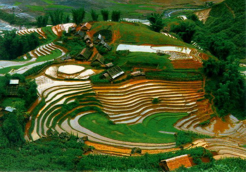 Mai Chau