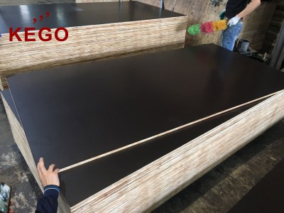 Construction Plywood