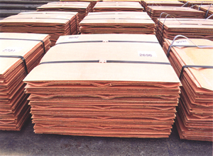 Catot copper
