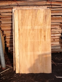 EUCALYPTUS Core Veneer