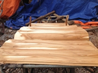 Acacia Core Veneer