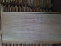 Face veneer