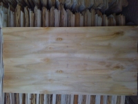Face veneer