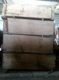 Laos yellow balau