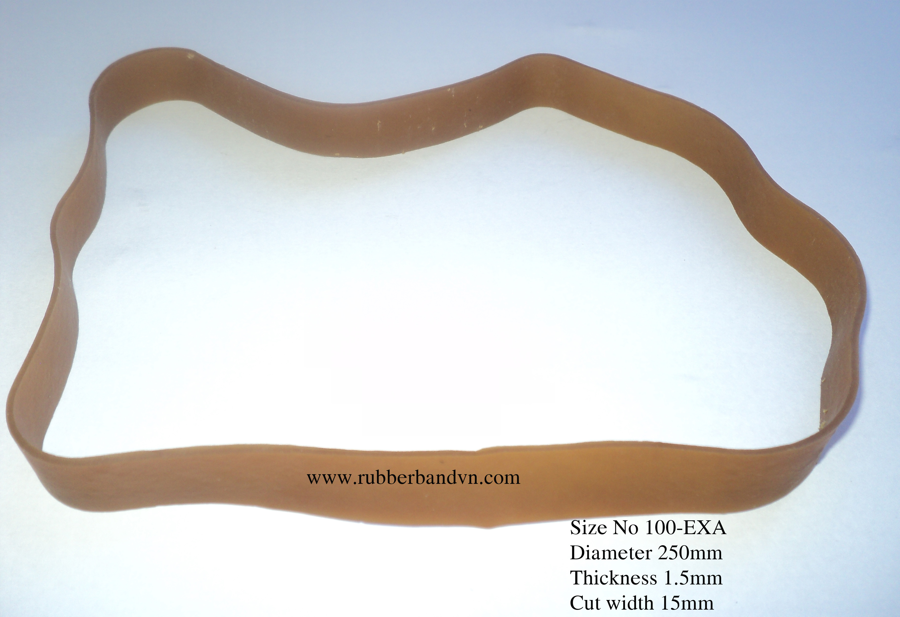 Size No 100-EXA