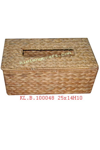 Water hyacinth shoe box