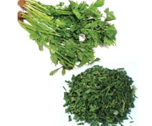 Dried celery