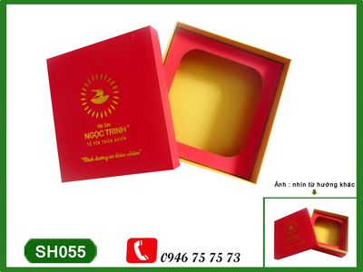 Bird Nest Box
