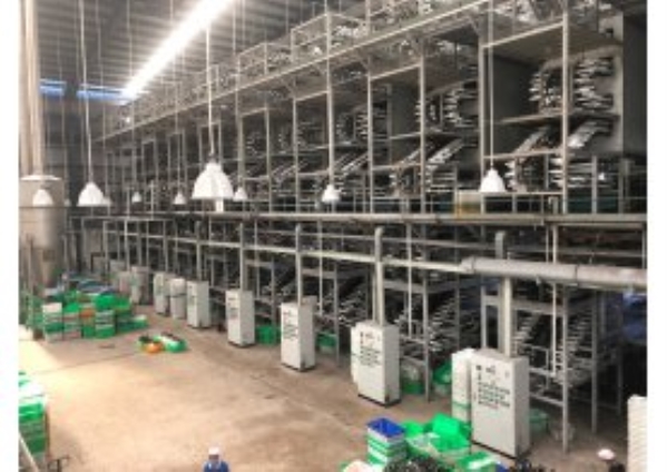 GTYT production line