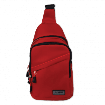 Ipad bag