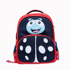 Student backpack