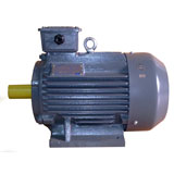 TECO foot-mounted motors