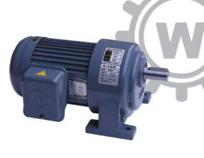 Wansin foot-mounted gear motors