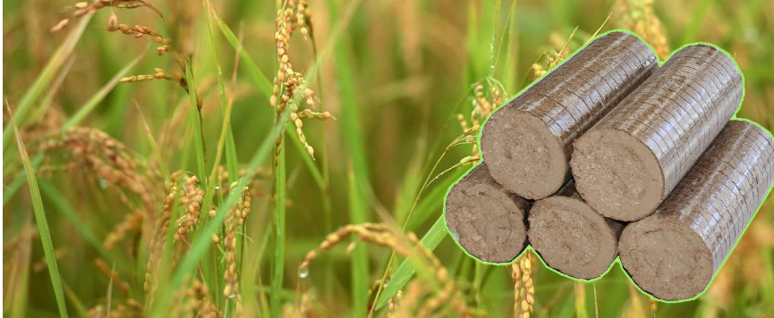 Rice husk briquette