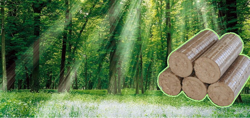 Wood shaving briquette